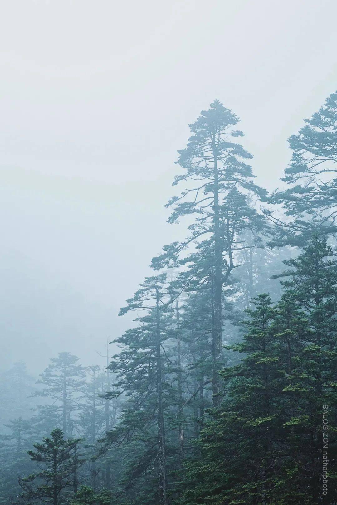 救援蒙克